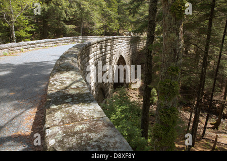 Carro ponte stradale nel Parco Nazionale di Acadia, Bar Harbor, Maine. Foto Stock