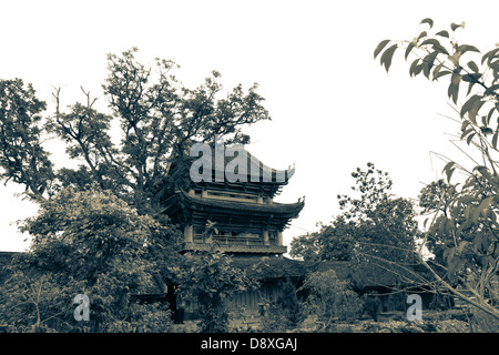 Keo pagoda Thai Binh provincia Foto Stock