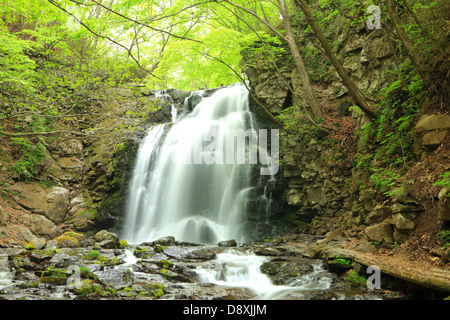 Cascata di fresco verde, Nome è Asamaootaki, Gunma, Giappone Foto Stock