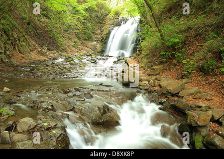 Cascata di fresco verde, Nome è Asamaootaki, Gunma, Giappone Foto Stock