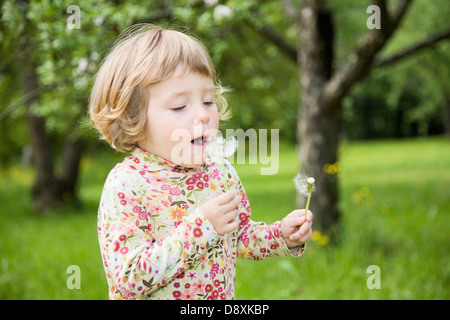 Tre anni di ragazza con un dente di leone in mano Foto Stock