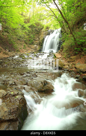 Cascata di fresco verde, Nome è Asamaootaki, Gunma, Giappone Foto Stock