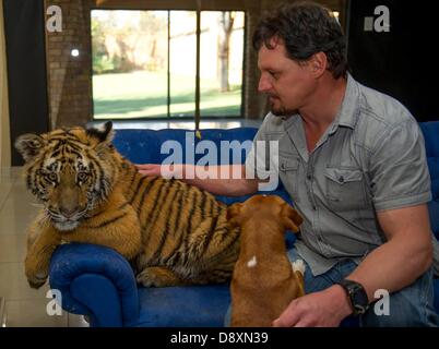 BRAKPAN, SUD AFRICA: Michael Jamison con Ozzy il 31 maggio 2013, Brakpan, Sud Africa. Jamison adottato Ozzy, in aggiunta al suo 15 cani e 2-anno-vecchio tigre del Bengala. Ozzy ha deformato gambe e piedi come un risultato di malnutrizione dai suoi precedenti proprietari. Jamison invierà Ozzy per chirurgia correttiva una volta che le sue gambe sono più forti. (Foto di Gallo Immagini / Foto24 / Christian Kotze) Foto Stock