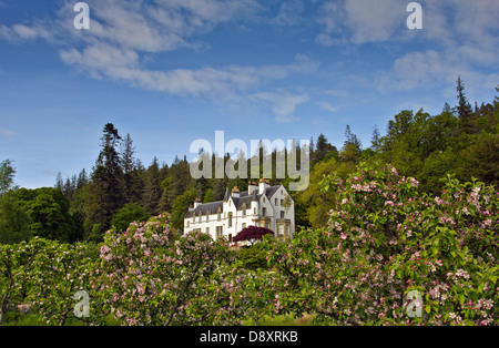 LOGIE House e giardini con alberi di mele LOGIE STEADING vicino a Forres MORAY Scozia Scotland Foto Stock