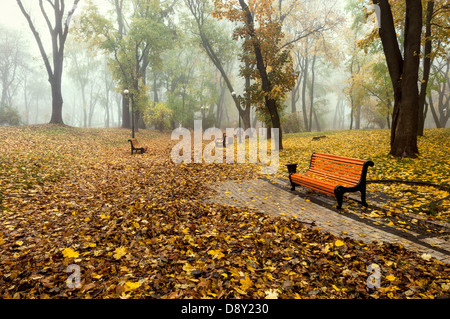 Foschia mattutina in un parco d'autunno. Caduta foglie Foto Stock
