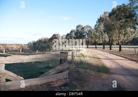 Viale di ingresso che conduce al maso Rheola Australia azienda agricola vigna con staccionata in legno Foto Stock