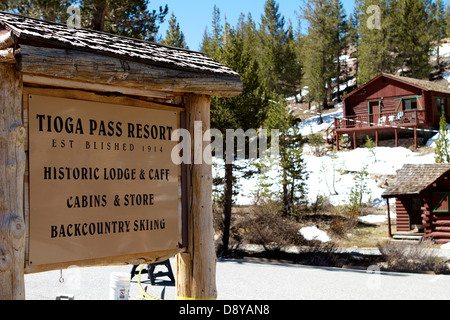 Località di Tioga Pass sull'autostrada 120 (Passo Tioga) nelle montagne della Sierra Nevada. California, Stati Uniti Foto Stock