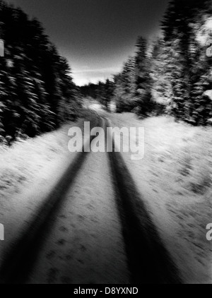 Una strada forestale in inverno, Svezia. Foto Stock