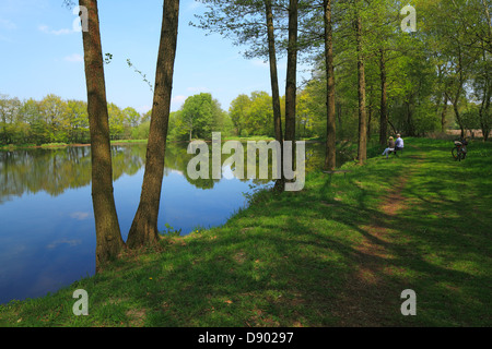 Naturschutzgebiet Steinhorster Becken in Delbrueck-Steinhorst, Ostwestfalen-Lippe, Renania settentrionale-Vestfalia Foto Stock