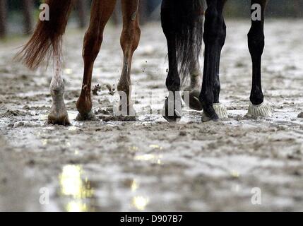 Elmont, New York, Stati Uniti d'America. Il 7 giugno 2013. Tempesta tropicale Andrea e pioggia costante ostacolato gli sforzi di preparare i cavalli per il Belmont Stakes di Belmont Park di Elmont, New York il 7 giugno 2013. (Immagine di credito: credito: Scott Serio/eclipse/ZUMAPRESS.com/Alamy Live News) Foto Stock