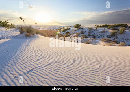 Stati Uniti d'America, Nuovo Messico, White Sands National Monument Foto Stock