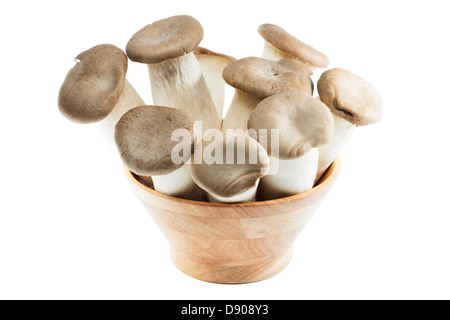 Funghi Oyster in una ciotola di legno. Isolato su sfondo bianco. Foto Stock