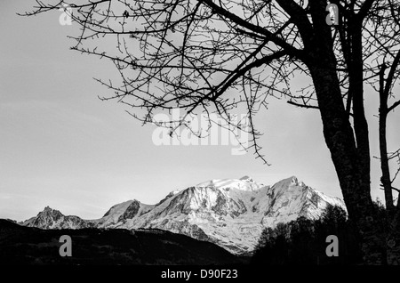 Le Alpi Francesi paesaggio, Tree silhouette incorniciare la composizione che conduce il telespettatore occhio alla neve Monte Bianco, Haute Savoie -,Francia Foto Stock