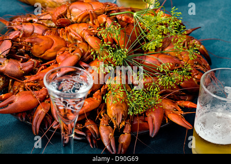 Gamberi di fiume sul tavolo Foto Stock