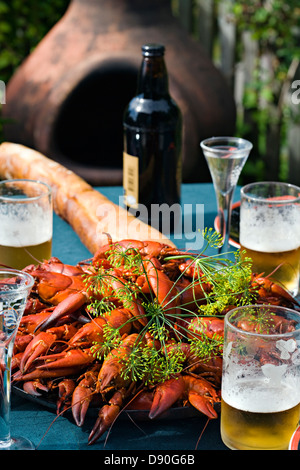 Tabella con i gamberi e birra Foto Stock