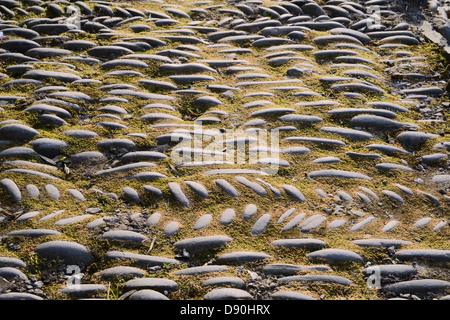 Pietre poste in lineari e modelli a spina di pesce per formare marciapiede e grondaia al di fuori di una terrazza di case, Llanrhystud, Wales, Regno Unito. Foto Stock