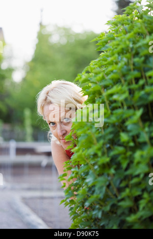 Vista ravvicinata di donna matura spiata da dietro la siepe Foto Stock