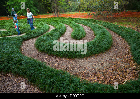 A piedi a labirinto Kanapaha Botanical Gardens, Gainesville, Florida. Foto Stock