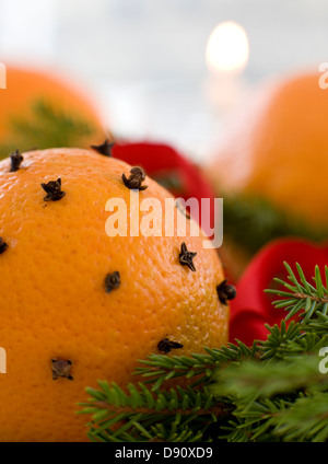 Close-up di orange studded con chiodi di garofano Foto Stock