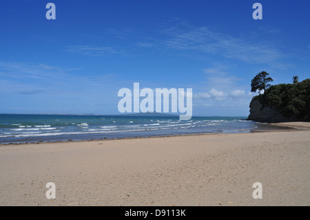 Rangitoto isola di Vulcano dal Browns Bay beach Foto Stock