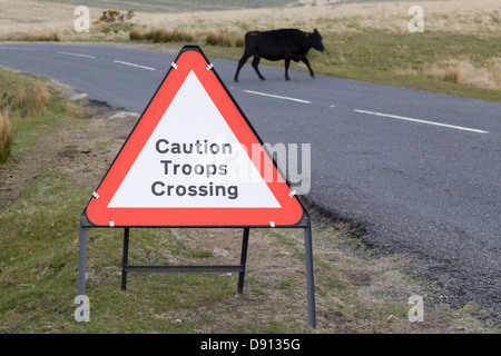 Attenzione truppe segno di attraversamento, su una strada nel parco nazionale di Dartmoor con una mucca sulla strada Bos primigenius Foto Stock