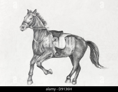 Scetch di esecuzione di un cavallo, disegno a matita su carta bianca artista all'età di 15. Foto Stock