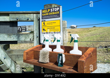 Dh Shakespear Parco Regionale WHANGAPARAOA NUOVA ZELANDA aiutare a smettere di Kauri deperimento piede il pulitore del pattino phytophthora Foto Stock