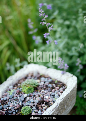 Un rigoglioso giardino, Svezia. Foto Stock