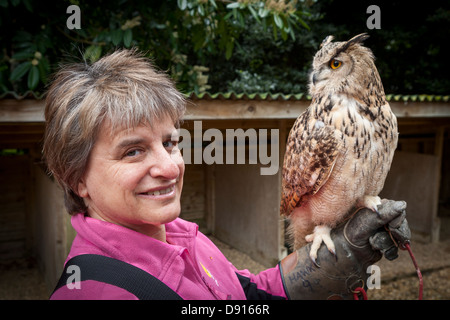 Gufo minore o gufo Magellanico, bubo magellanicus, poggiante sul braccio della donna, Bird Conservation Farm, UK Foto Stock