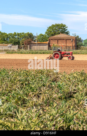 El Prat de Llobregat,catalogna,Spagna Foto Stock