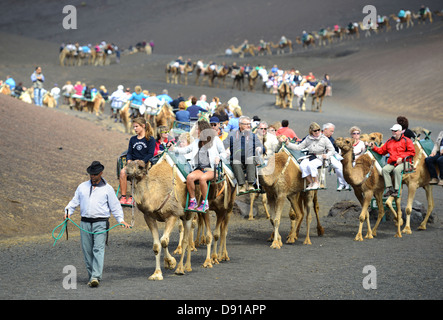 Lanzarote, giri in cammello, turisti godendo di corsa in cammello a Lanzarote, Isole Canarie Foto Stock