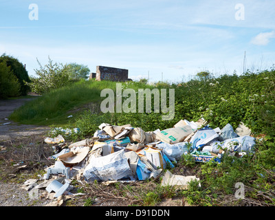 Volare il ribaltamento nella campagna inglese Foto Stock