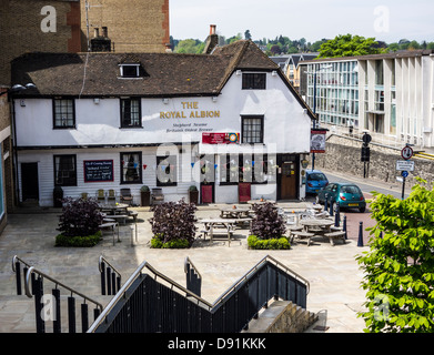 Royal Albion Shepherd Neame Pub Maidstone Foto Stock