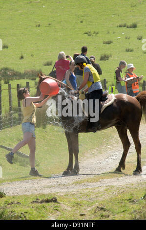 Hotel a Llanwrtyd Wells, Regno Unito. 8 Giugno 2013. Oltre 400 corridori competere contro 65 cavalli nell'uomo V Horse 23 miglio marathon, nel corso di estenuanti terreno montuoso.L'evento è stato concepito da Gordon Green al suo pub la Neuadd Arms nel 1980 su overhearing una discussione se un uomo era uguale a quella di un cavallo in funzione cross country sulla distanza. Il premio in denaro per la battitura di un cavallo è stato aumentato ogni anno da £1.000 fino a Huw Lobb ha vinto £25.000 nel 2004 battendo il primo cavallo per 2 minuti con un tempo di 2:05:19. Credito: Graham M. Lawrence/Alamy Live News. Foto Stock