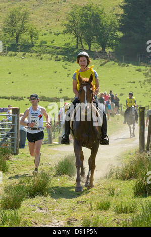 Hotel a Llanwrtyd Wells, Regno Unito. 8 Giugno 2013. Oltre 400 corridori competere contro 65 cavalli nell'uomo V Horse 23 miglio marathon, nel corso di estenuanti terreno montuoso.L'evento è stato concepito da Gordon Green al suo pub la Neuadd Arms nel 1980 su overhearing una discussione se un uomo era uguale a quella di un cavallo in funzione cross country sulla distanza. Il premio in denaro per la battitura di un cavallo è stato aumentato ogni anno da £1.000 fino a Huw Lobb ha vinto £25.000 nel 2004 battendo il primo cavallo per 2 minuti con un tempo di 2:05:19. Credito: Graham M. Lawrence/Alamy Live News. Foto Stock