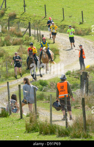 Hotel a Llanwrtyd Wells, Regno Unito. 8 Giugno 2013. Oltre 400 corridori competere contro 65 cavalli nell'uomo V Horse 23 miglio marathon, nel corso di estenuanti terreno montuoso.L'evento è stato concepito da Gordon Green al suo pub la Neuadd Arms nel 1980 su overhearing una discussione se un uomo era uguale a quella di un cavallo in funzione cross country sulla distanza. Il premio in denaro per la battitura di un cavallo è stato aumentato ogni anno da £1.000 fino a Huw Lobb ha vinto £25.000 nel 2004 battendo il primo cavallo per 2 minuti con un tempo di 2:05:19. Credito: Graham M. Lawrence/Alamy Live News. Foto Stock