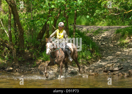 Hotel a Llanwrtyd Wells, Regno Unito. 8 Giugno 2013. Oltre 400 corridori competere contro 65 cavalli nell'uomo V Horse 23 miglio marathon, nel corso di estenuanti terreno montuoso.L'evento è stato concepito da Gordon Green al suo pub la Neuadd Arms nel 1980 su overhearing una discussione se un uomo era uguale a quella di un cavallo in funzione cross country sulla distanza. Il premio in denaro per la battitura di un cavallo è stato aumentato ogni anno da £1.000 fino a Huw Lobb ha vinto £25.000 nel 2004 battendo il primo cavallo per 2 minuti con un tempo di 2:05:19. Credito: Graham M. Lawrence/Alamy Live News. Foto Stock