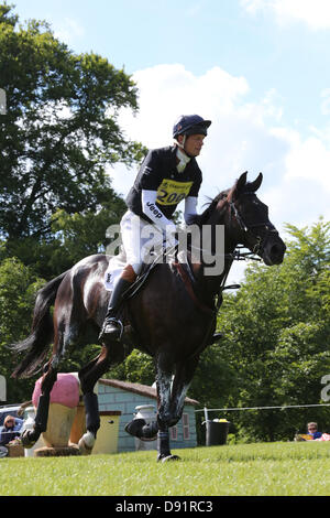 Leeds Bramham UK. 8 Giugno 2013. William Fox Pitt, equitazione prima del tempo nel cross country durante il quarantesimo Bramham horse trials. Credito: S D Schofield/Alamy Live News Foto Stock