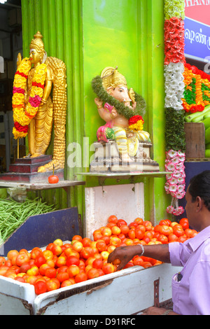 Singapore,Little India,Buffalo Road,mercato,mercato,produzione,pomodori,fagioli,Indù,bindi,santuario,elefante,asiatici asiatici immigrati etnici min Foto Stock