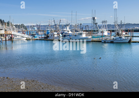 Newport Oregon negli Stati Uniti. Newport Harbor è la casa di una flotta peschereccia commerciale come pure molte navi privato Foto Stock