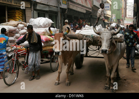 Buoi tirando un carrello carico di merci su strada stretta della vecchia Dhaka, Bangladesh Asia Foto Stock