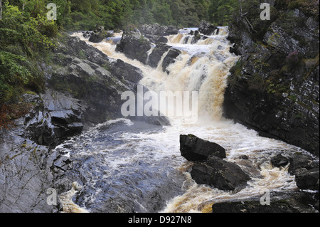 Rogie Falls, Contin, Highlands Scozia, Gran Bretagna Foto Stock