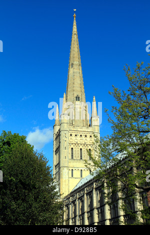 Norwich Cathedral guglia, Norfolk, Inghilterra REGNO UNITO, inglese cattedrali medievali guglie Foto Stock