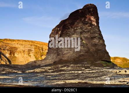 Nero, Nab Saltwick Bay, prelevato poco dopo l'alba Foto Stock