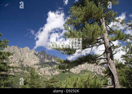 Aiguilles de Bavella, Corsica, Francia Foto Stock