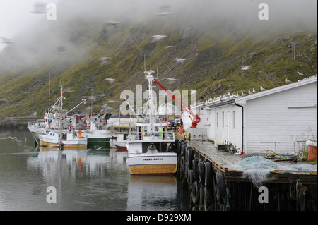 Barche da pesca in Ballstad, Lofoten, Nordland, Norvegia Foto Stock