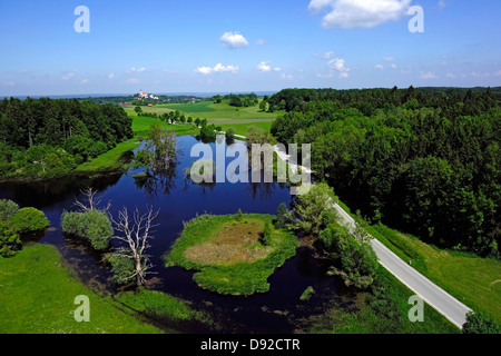 Seachtnmoor, Moor, gli alberi morti nella palude, Andechs, Alta Baviera, Baviera, Germania, Europa Foto Stock