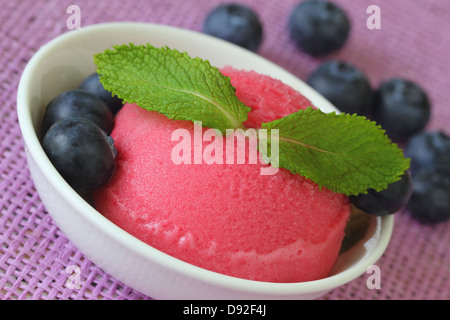 Frutti di bosco con sorbetto di mirtilli freschi, close up Foto Stock