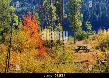 Legno per singolo tavolo picnic in mezzo vivido il rosso e il Giallo Autunno colori sulla sponda occidentale del Lago di Stanley, Idaho Foto Stock