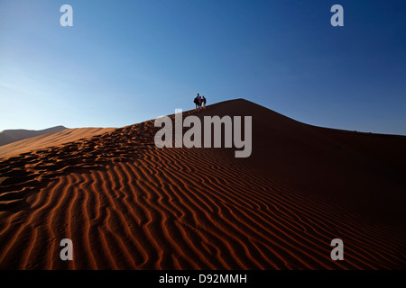 Famiglia di arrampicata duna di sabbia accanto a Deadvlei, vicino al Sossusvlei, Namib-Naukluft National Park, Namibia, Africa Foto Stock